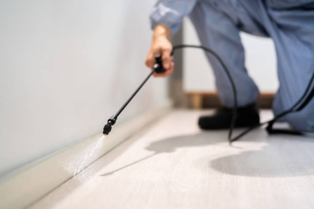 Rodent Entry Point Assessment in Carrollton