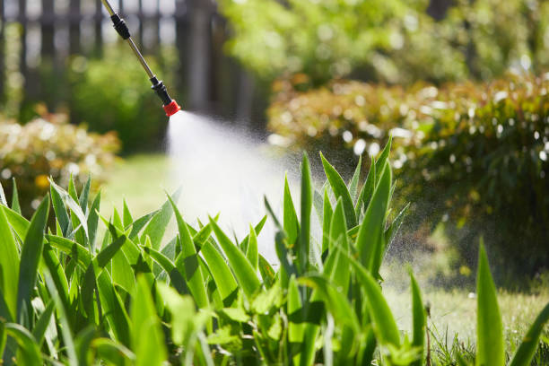 Tamper-Resistant Bait Stations for Rodents in Carrollton