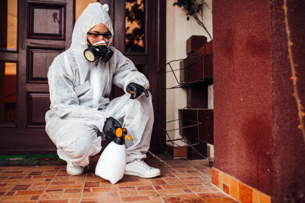Attic and Crawl Space Rodent Treatment in Carrollton